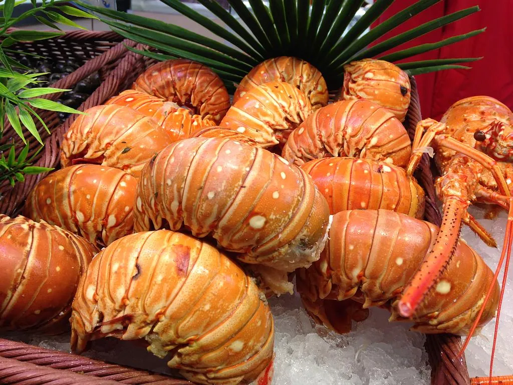 Crustacés Limoges