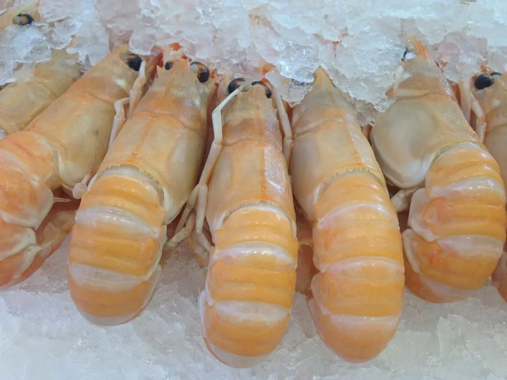 Produits de la mer Limoges