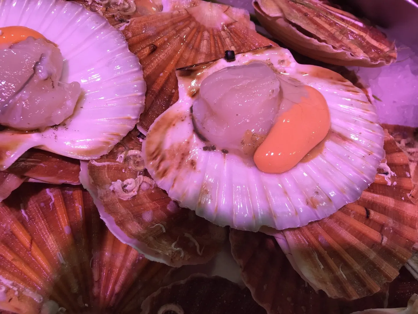 Coquillages Saint-Léonard-de-Noblat