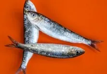 Poissons Saint-Léonard-de-Noblat